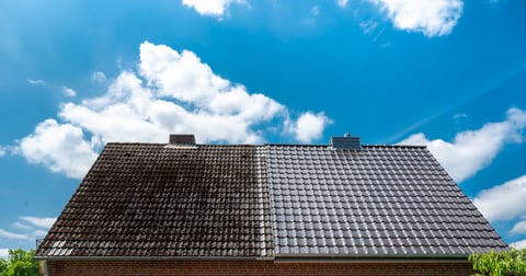 Half-cleaned roof showing before and after effect